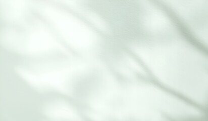Fototapeta premium Soft Abstract Light and Shadow Background with Pastel Green Tone