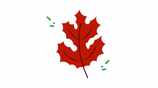 Red oak leaf symbolizing autumn, ideal for seasonal designs, naturethemed projects, educational materials, and social media posts. Vibrant and seasonal.