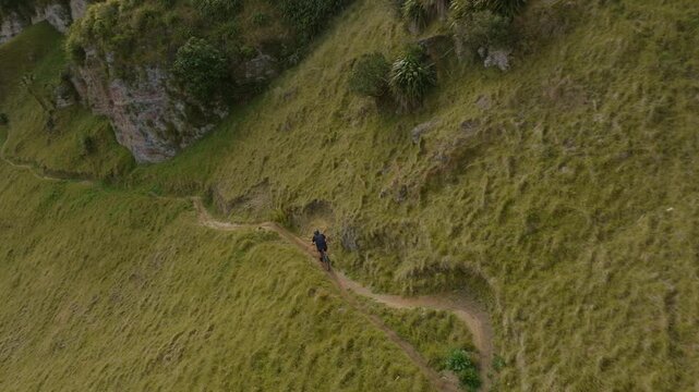 Mountain biker riding a narrow trail in Te Mata Peak, Hawke's Bay, New Zealand. The steep, grassy hillside provides a challenging and scenic backdrop.