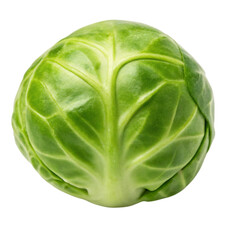 Fototapeta premium Fresh green Brussels sprouts for healthy eating and cooking