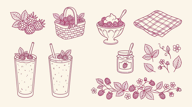 Hand-drawn illustrations of raspberries, berry desserts, jam, and drinks, perfect for summer themes.
