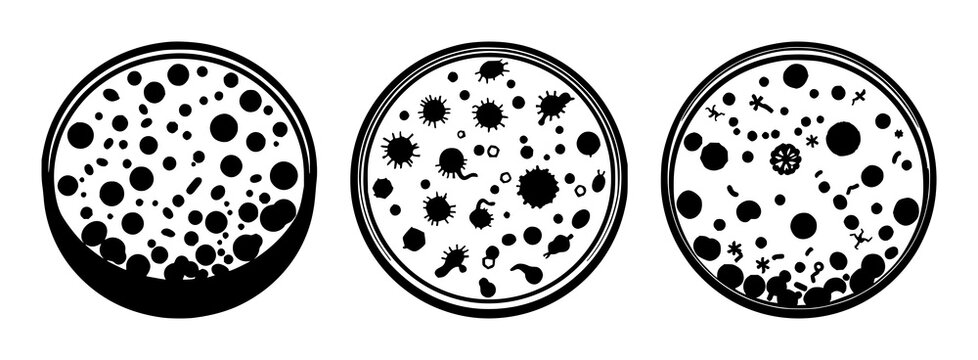 Petri dish set with a solid black silhouette of a culture dish featuring bacteria cultures, microbiology icon, silhouette with clean circular edges and white background