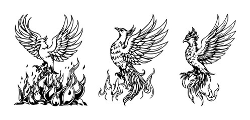 Obraz premium Mythical Phoenix set with detailed woodcut style illustration featuring rising from flames, high contrast black ink with white background and legendary bird