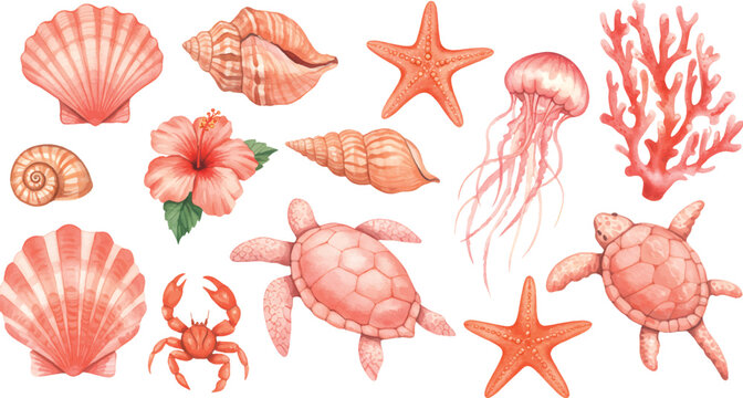 Vector Illustration Coral Reef and Sea Creatures Elements Collection
