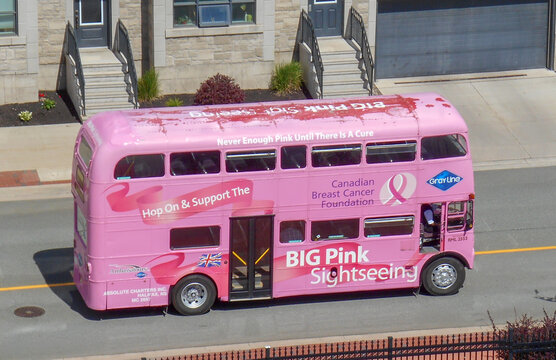 Saint John, New Brunswick, Canada&mdash;June 19, 2018; A pink sightseeing bus promoting breast cancer awareness travels through downtown Saint John.