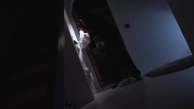 Burglar with flashlight robbing a house at night