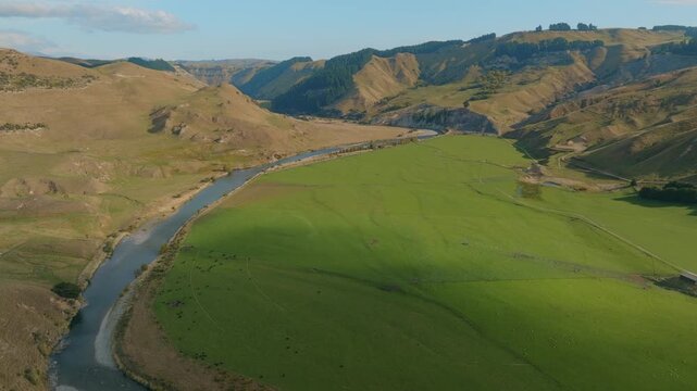 Aerial view of the landscape in Hawke's Bay, New Zealand, showing the Rangitikei River winding through green pastures where cattle and sheep graze, with rolling hills in the background.