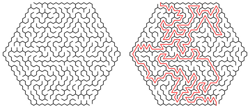 Hexagonal Maze Puzzle with Solution Path