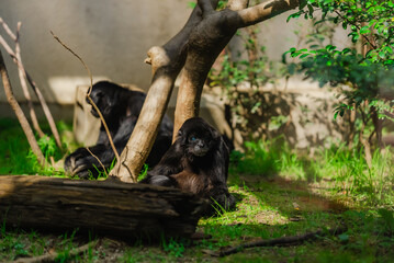 【熊本】熊本市動植物園 © Ryota