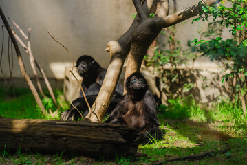 【熊本】熊本市動植物園 © Ryota