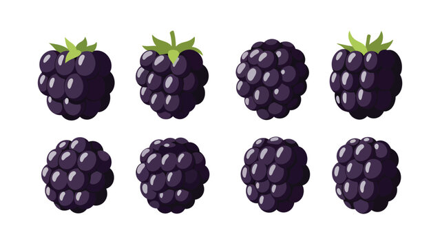 A collection of eight stylized illustrations of ripe blackberries with green leaves against a white background.