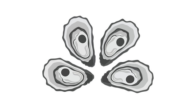 A stylized illustration of four open oysters arranged in a circular pattern on a white background.