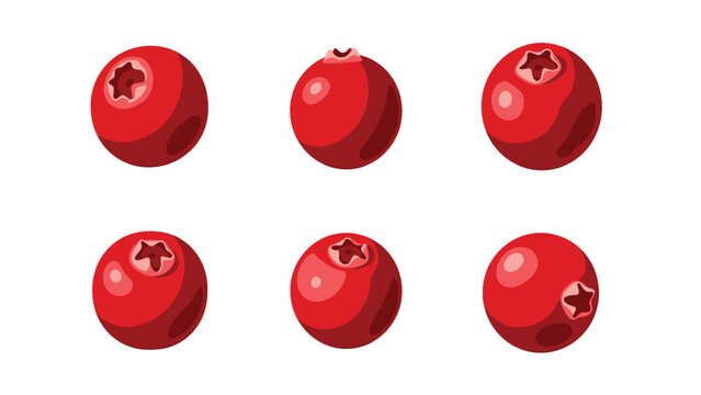 Six vibrant red cranberries isolated on a white background, showcasing their glossy texture and star-shaped tops.