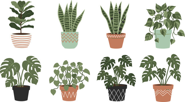 Houseplants line art illustration, fiddle leaf fig, snake plant, pothos, monstera, decorative pots, indoor greenery designHouseplants line art illustration, fiddle leaf fig, snake plant, 