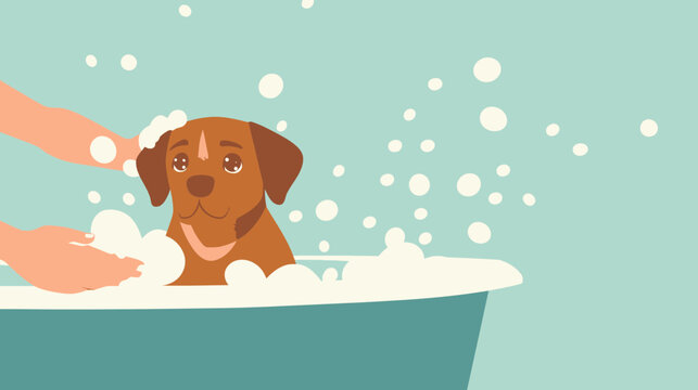 Cute brown dog being bathed in a tub with soap bubbles