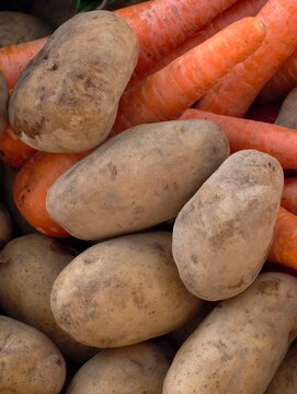 Fresh organic potatoes and carrots displayed together showcasing natural produce rich in nutrients providing a healthy and delicious option for various culinary uses