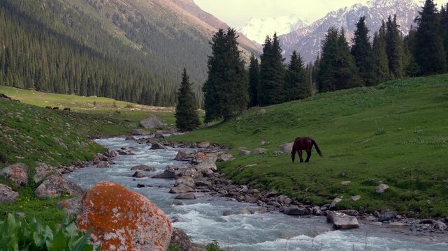 Kyrgyzstan nature landscape. Horses on a green alpine meadow and flowing river in Altyn Arashan valley, Kyrgyzstan.