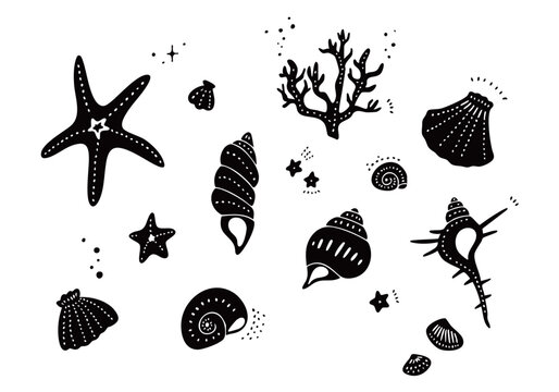 モノクロの貝のイラストセット