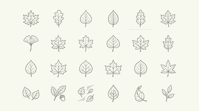 Set of hand drawn leaf icons for nature and botanical design.