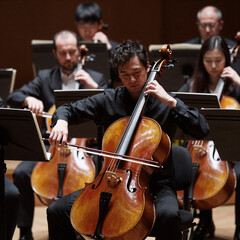 Fototapeta premium Pop Art Orchestra Ensemble. A Cello Player Performs With A Bow In A Classical Music Orchestra Capturing The Live Performance Of A Symphony Concert
