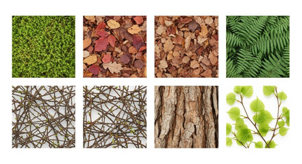 Eight different natural textures and patterns shown in square frames. © Pae