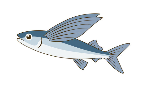 飛び魚のシンプルフラットイラスト｜夏のトビウオ素材
