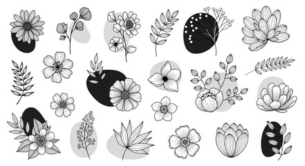 Fototapeta premium Hand Drawn Botanical Elements and Abstract Shapes Collection.