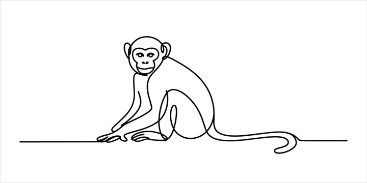 Continuous single line drawing of a cute monkey sitting and looking forward