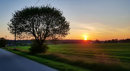 Fototapeta premium Serene rural landscape with tree by road at sunset over green field