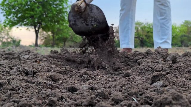 Farmer digging dry soil with a hoe tool in agricultural field