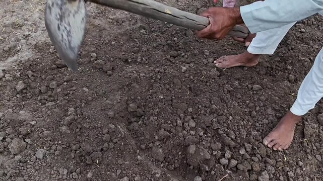 Farmer digging dry soil with a hoe tool in agricultural field