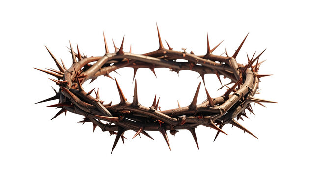 Thorn crown; interwoven sharp branches on black background, detailed