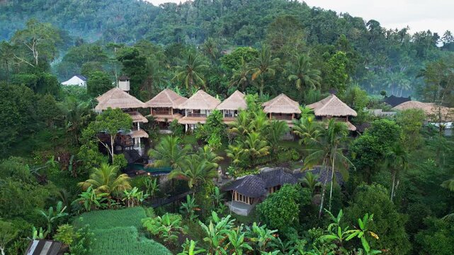 Thatched roof villas at tropical luxury resort in Bali surrounded by palm trees and lush rice fields in misty morning atmosphere creating serene landscape captured in aerial drone view