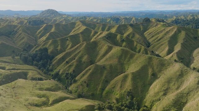 Rolling green hills and trees create a scenic landscape in the countryside of Taihape, Manawatu-Wanganui, New Zealand. The image captures the natural beauty of the region.