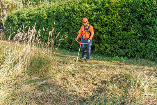 A worker wearing safety gear uses a brush cutter to trim tall grass in a field, showcasing landscaping maintenance. The man is using a string trimmer to cut the grass and weeds.