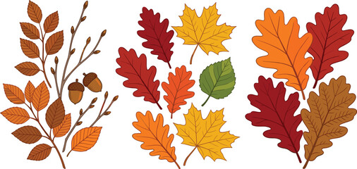 Autumn Leaves Collection with Oak Maple Branches and Fall Foliage Elements in Hand Drawn Vector Illustration Style © Lota