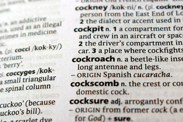 Fototapeta premium Close Up English Dictionary Page With The Word Translation Of - cockroach