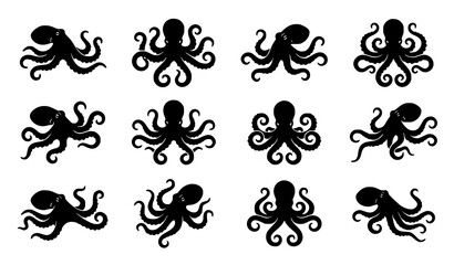 Octopus Silhouette Vector Set Marine Animal Illustration Collection © Md