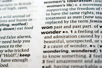 Fototapeta premium English Dictionary Page Close Up With The Word Transcription Of -wonder