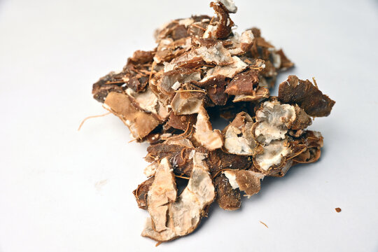 Tamarind (Imli) Texture on White Background with Defocus Macro Photography