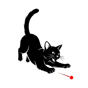 Black cat playing and chasing a red laser pointer dot