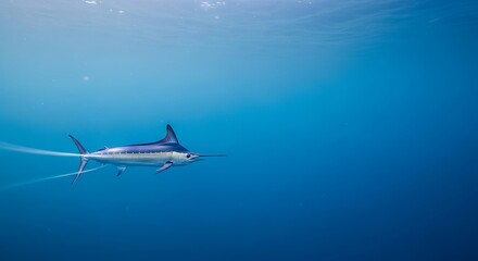 Naklejka premium Fish swimming in blue ocean water.