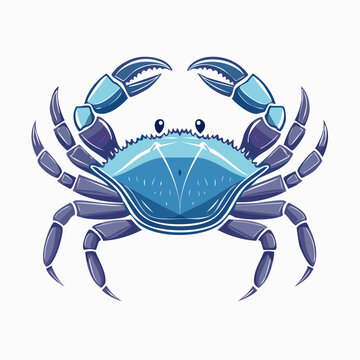 Blue Crab Illustration