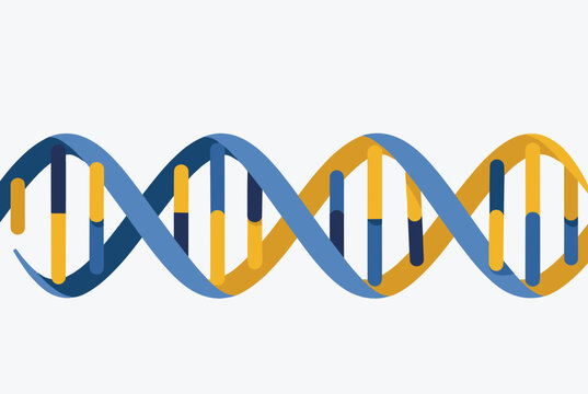Stylized illustration of a DNA double helix molecule structure represented in blue and yellow colors on a light background.