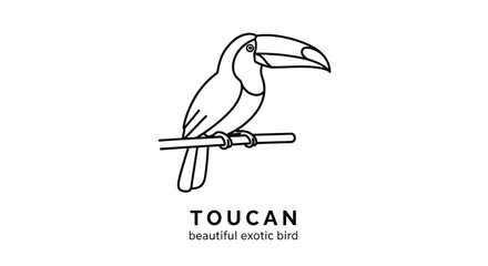 Obraz premium Exotic toucan bird with a large beak perched on a horizontal tree branch shown in a simple black and white outline vector design.