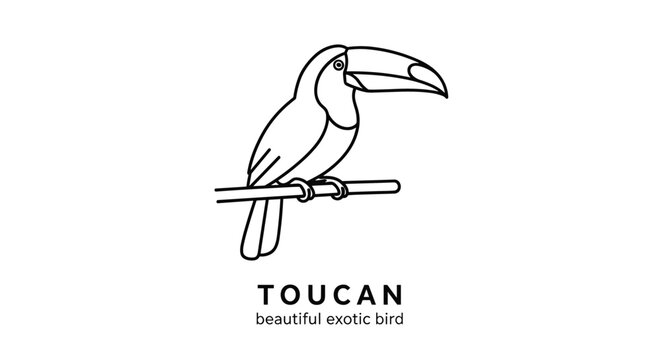 Exotic toucan bird with a large beak perched on a horizontal tree branch shown in a simple black and white outline vector design.