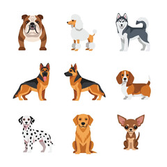 Obraz premium Dogs of various breeds standing still.