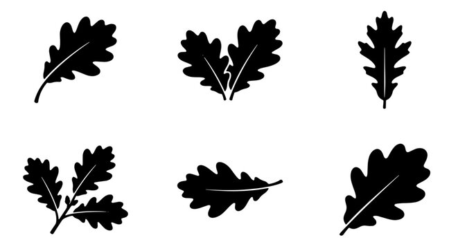 Collection of black oak leaves silhouettes, isolated on white background, simple shapes Vector