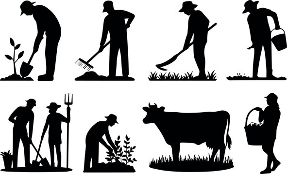 Planting seedlings in field with hand tools