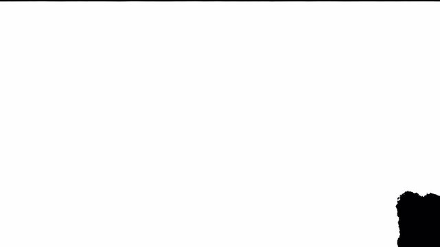  Brush texture, Paint the white brush background and your text with an alpha channel. Black line brush strokes animation footage for video effect element
